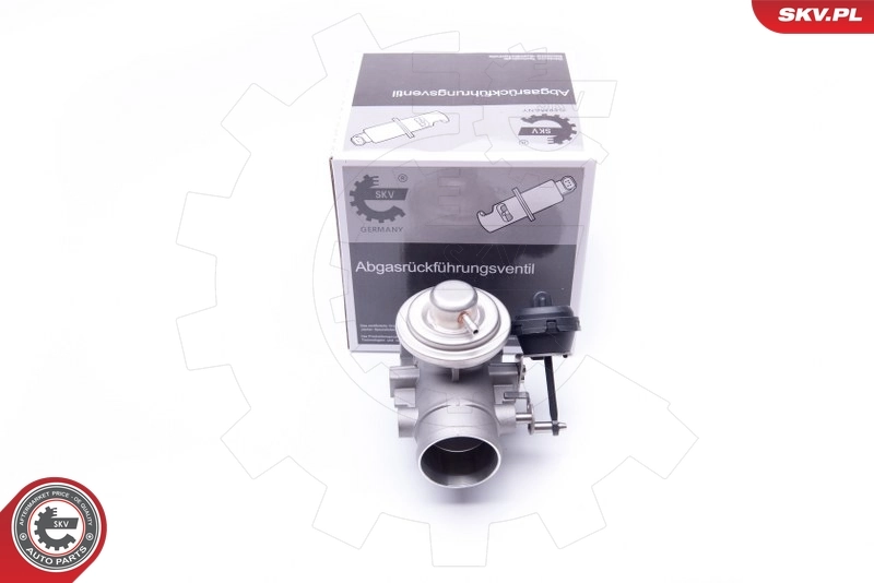 EGR Valve